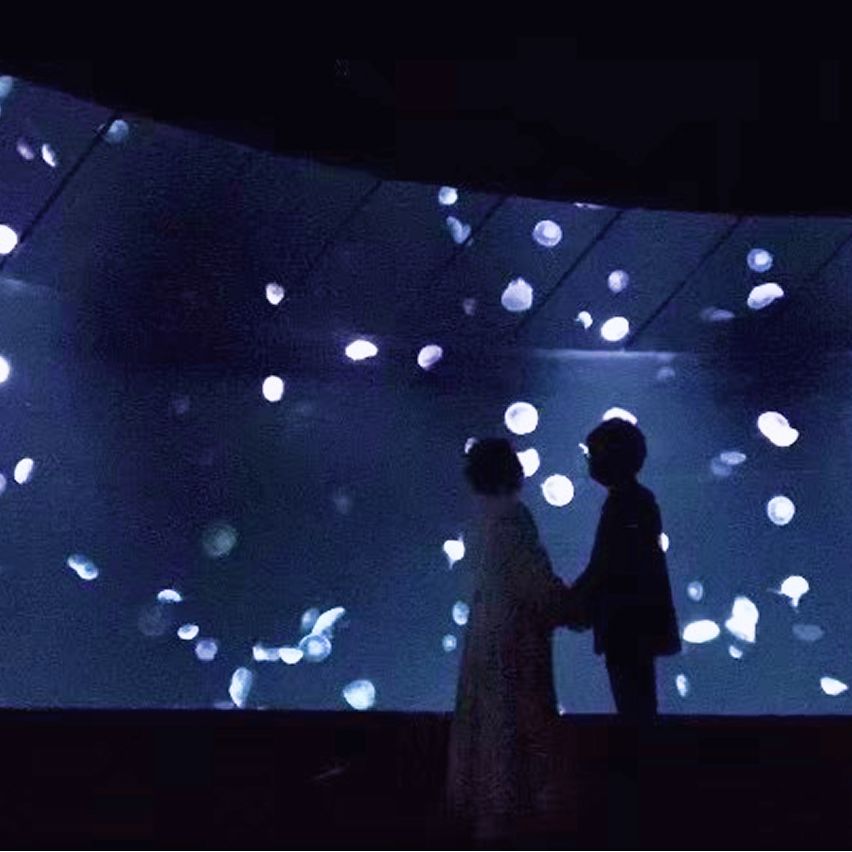 2021年6月 の思い出の写真